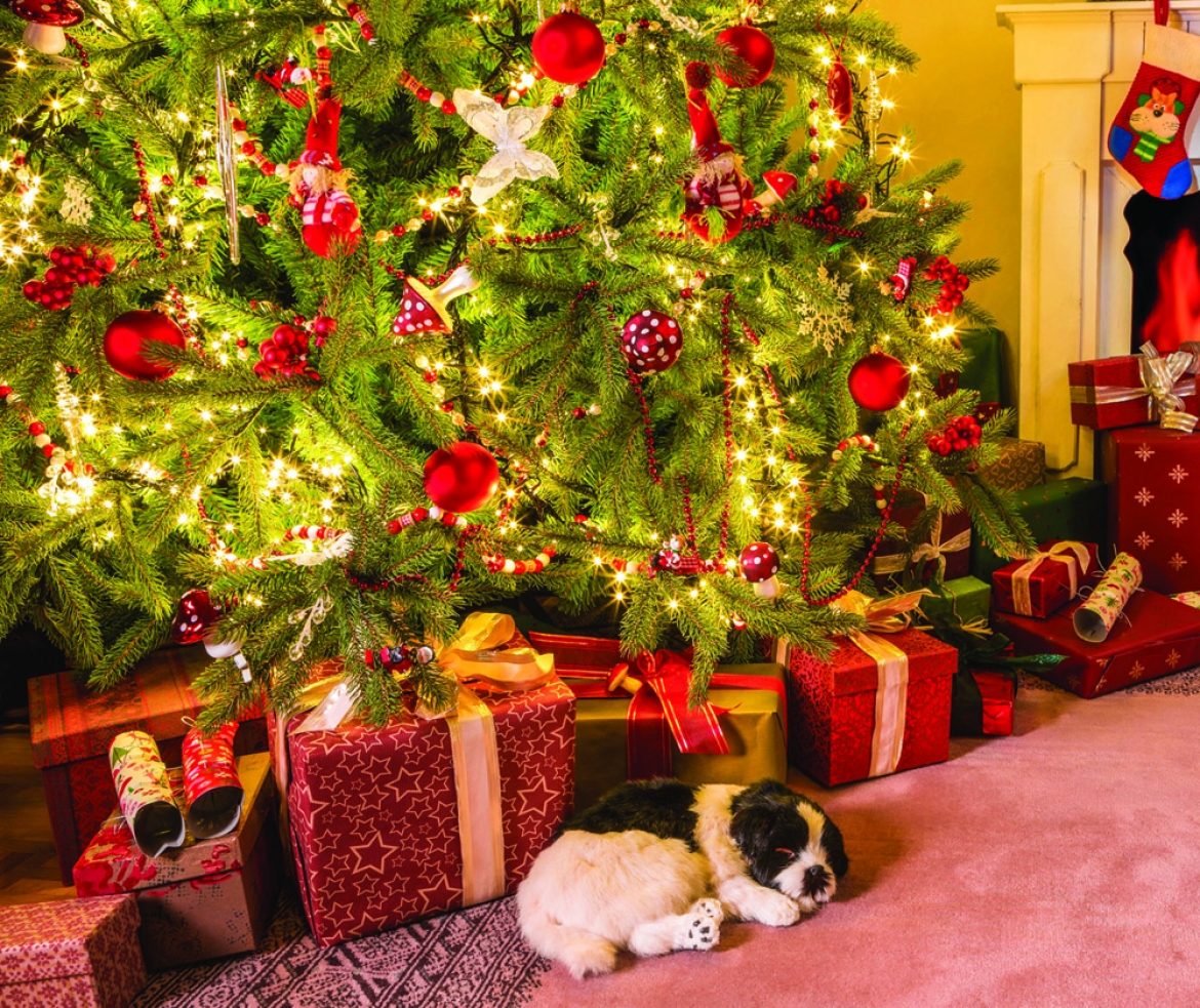 Surviving a Home Renovation | Residential Commercial Heating Cooling General Contracting Plumbing Excavating Services Contractor | ACI Solutions